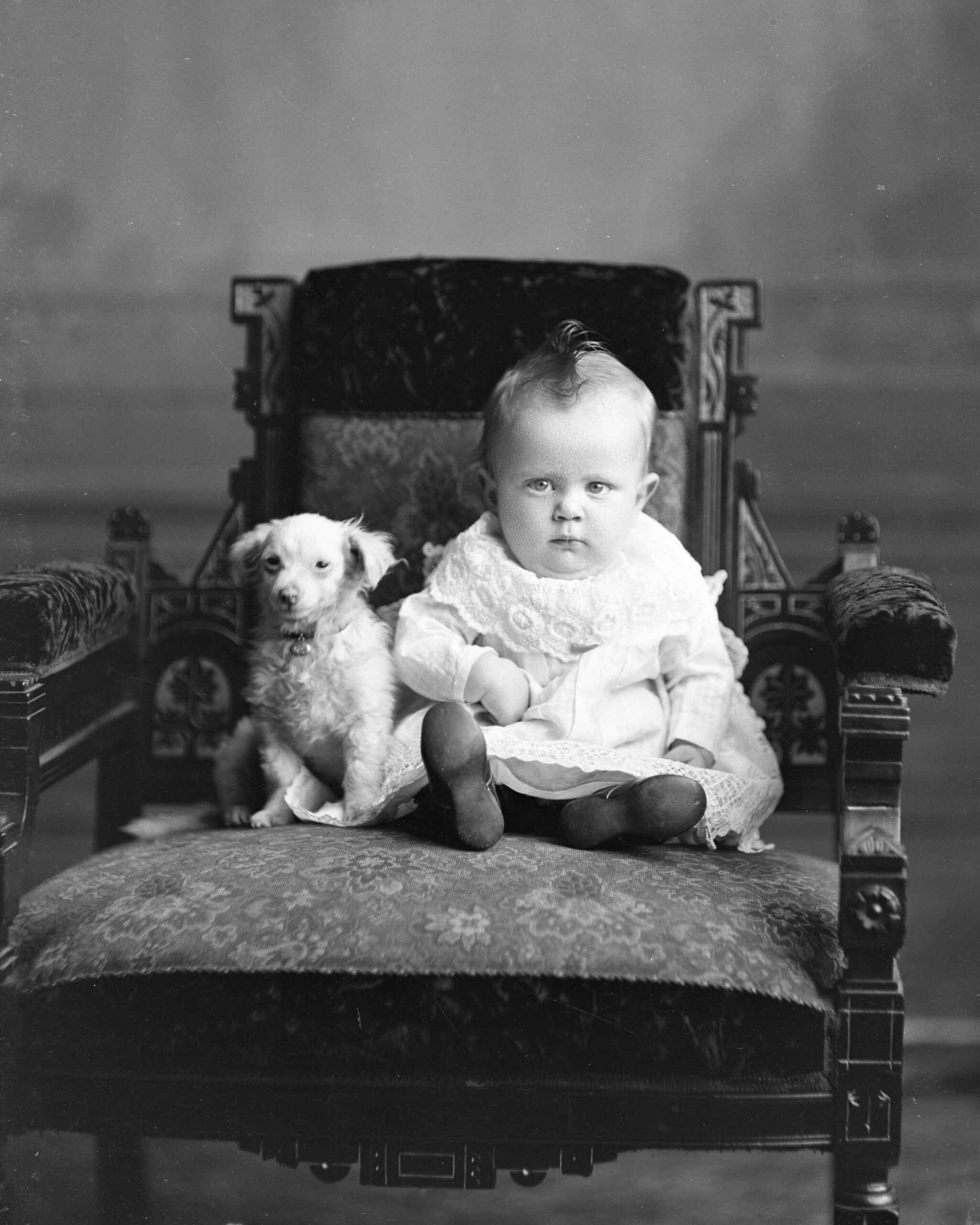 A baby and a dog posing on a chair.